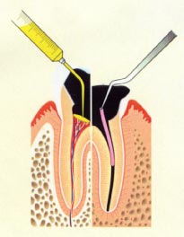 歯科口腔外科